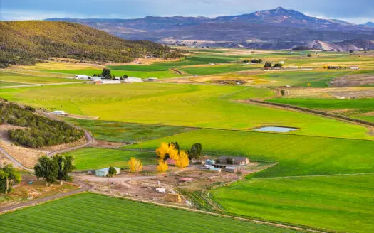 Colorado Horse Property with Multiple Homes & Irrigated Land