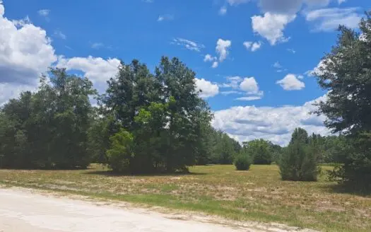 Beautiful Vacant Land  Tri River Farms  Branford Florida For Sale
