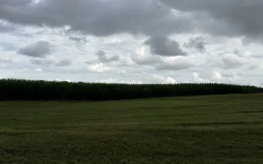0.85 Country lot for sale near Franklin, Ky