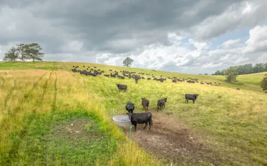 Southern Missouri Ranch For Sale