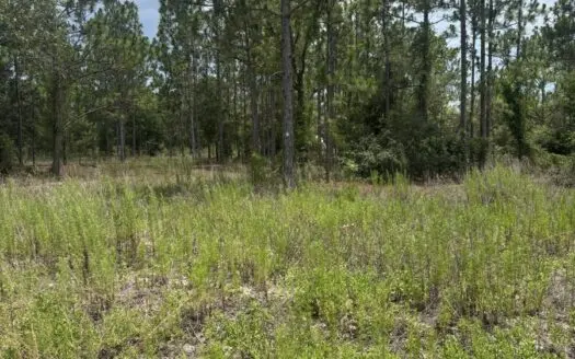 Design Your Future on a Beautiful 1‑Acre Homesite.