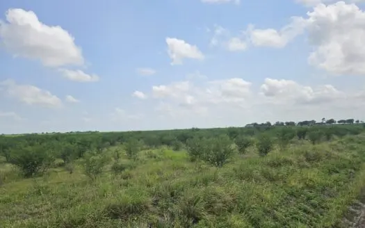 Discover 22.86 Acres of Opportunity in Sandia, Jim Wells County