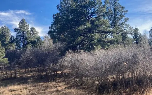 Land For Sale Log Hill, Ridgway, Colorado