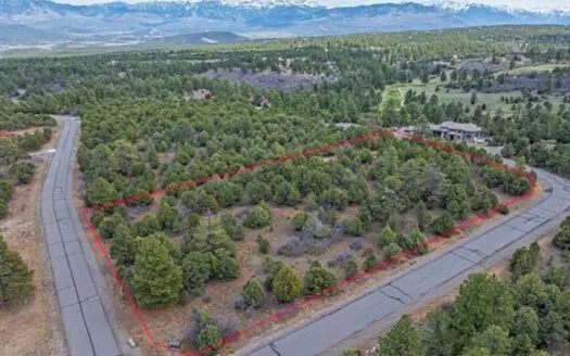 Premium Colorado Mountain Lot for Sale in Ridgway, Colorado