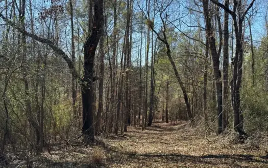 Excellent Multi Use Tract in Moundville and Convenient Location