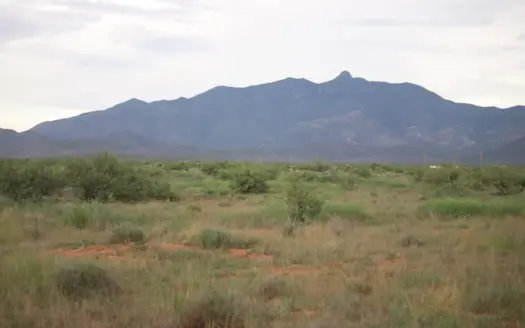 Beautiful Corner lot Land for sale in rural southern Arizona