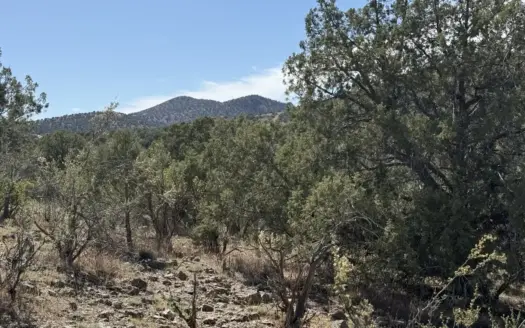 Land with Views for Sale, No HOA, 6.2 Acres