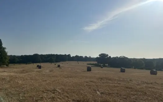 High Producing pasture for sale Ash Flat, AR