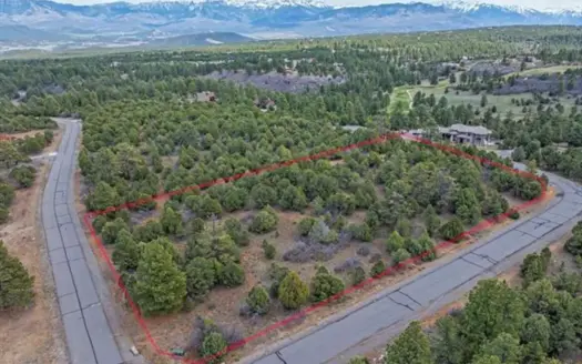 Premium Colorado Mountain Lot for Sale in Ridgway, Colorado