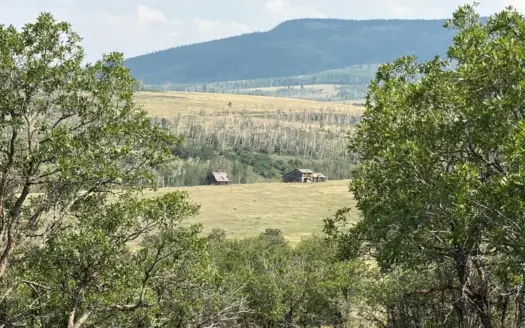 52.6 Acres Near Telluride, Colorado with Incredible Mountain View