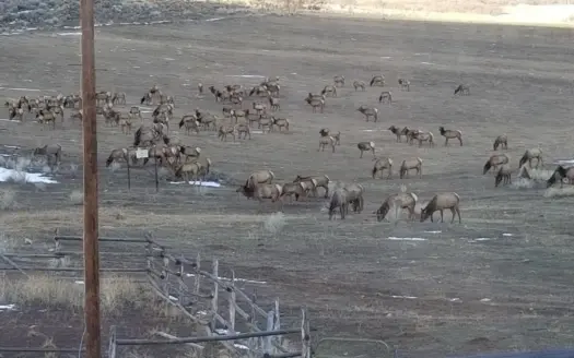 Colorado Mountain Home, Ranch and Hunting Property for sale