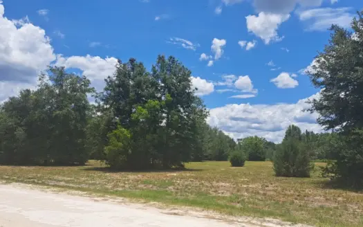 Beautiful Vacant Land Tri River Farms Branford Florida For Sale