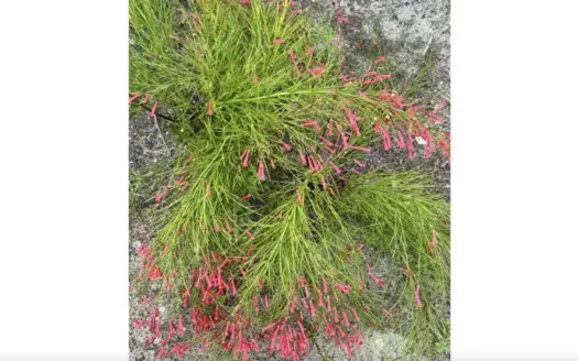 Beautiful Home Located In Jennings, FL