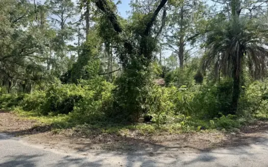 Investor Special 1 Acre City Lot In Jasper FL