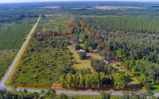 Vintage Homes For Sale In Jasper, FL