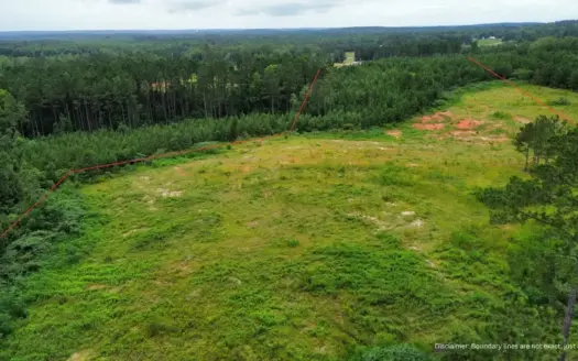 10.66± Acres for Sale in Coffee County, Alabama