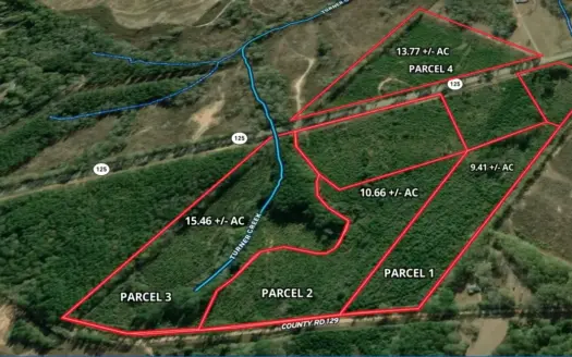 13.77± Acres for Sale in Coffee County, Alabama
