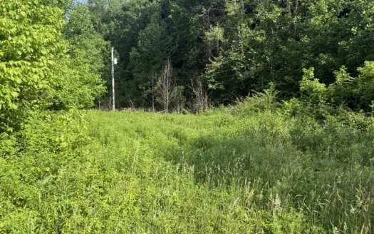 Vacant Lot – No Restrictions – Electric In Place – Liberty, KY.