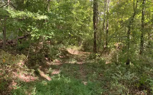 8.44+/- Acres – Bldg. Sites – Open & Woodland – Liberty, Ky