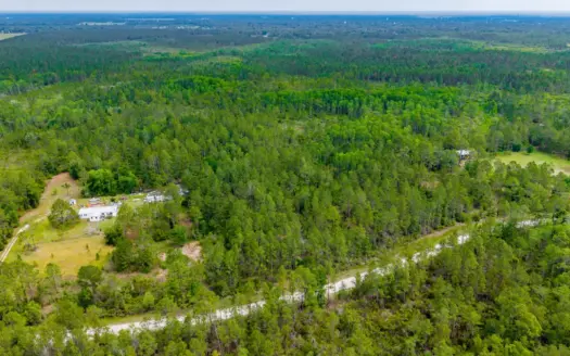 20-Acre Wooded Retreat For Sale in Mayo, Florida