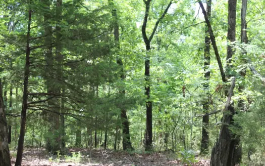 Lot 40 In Lakeshore Acres Gated Subdivision on Bull Shoals Lake