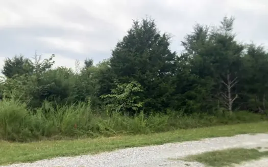 Bull Shoals Lake Lot Near Theodosia Marina