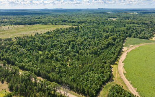 65+/- Acres of Turnkey Whitetail Country Minutes from Castle Rock