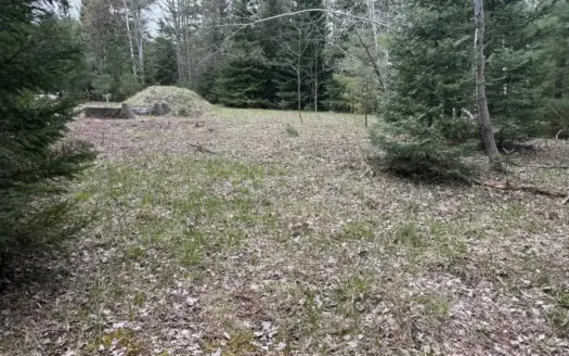 25+ Acres w/ Build Site + State Land Access – Hunt & Build in One
