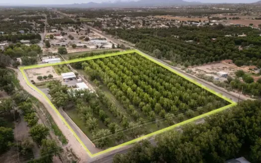 6.27-Acre Adobe Home & Pecan Orchard for Sale in New Mexico