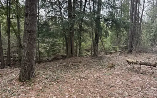 33.5 Acres – Ultimate Hunting Basecamp w/ US-131 Frontage