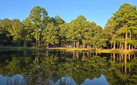 Country Home & Turnkey Recreational Property