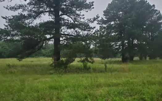 4.77 Acre Homesite In Hugo Oklahoma For Sale!!