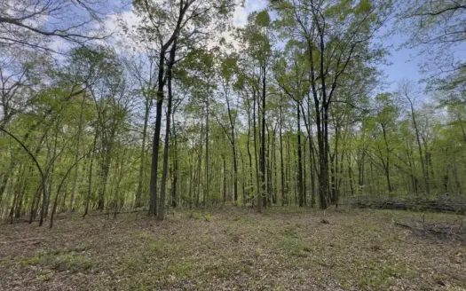 6.01 Private, Charming, Wooded Acres in a Prime TN Location