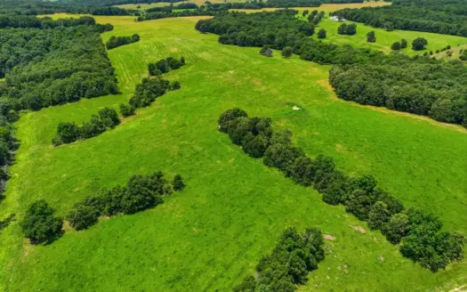 431 Acre Ozarks Farm with Springs, Ponds & Income Potential