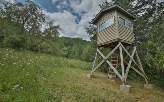 Luxury Vernon County Estate on 141 Acres with Organic Farmland