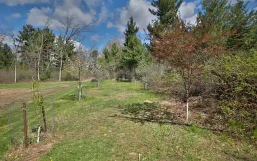 11.18-Acre Recreational Build Site & Hunting Land for Sale