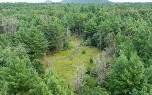 Rare opportunity to own 17.54 wooded acres within the City