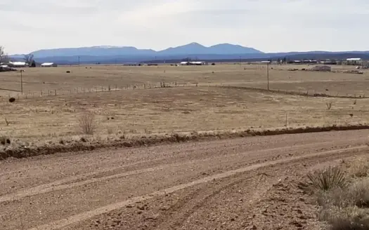 5 Acres in Moriarty – Grazing Land & Country Living
