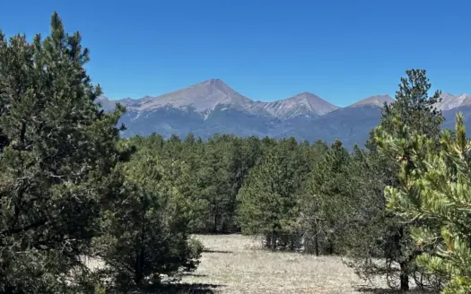 5.12-Acre Treed Colorado Mountain Property for Sale Near Westclif