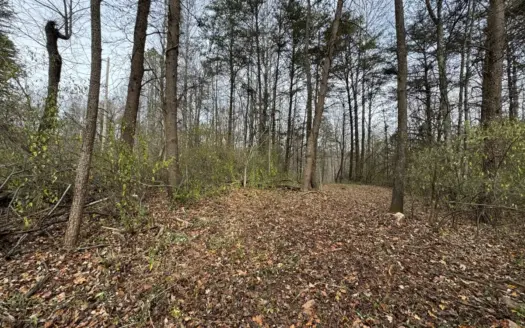 5.17 ac± of Land for sell in Patrick County, VA