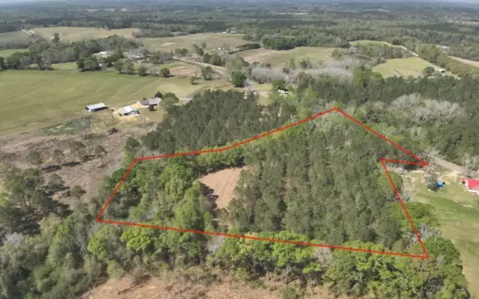 7 Acre Homesite in Geneva County Alabama
