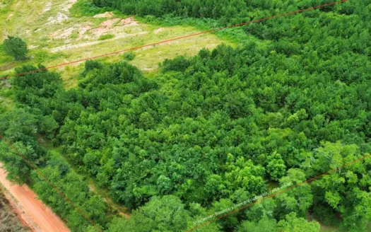 9.41± Acres for Sale in Coffee County, Alabama