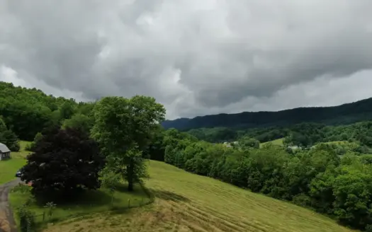 Auction -Country Home-Farm-Horses-Lee County-Rose Hill Virginia