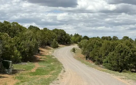 Build-Ready 4.88 Acres Near Ridgway with Mountain Views