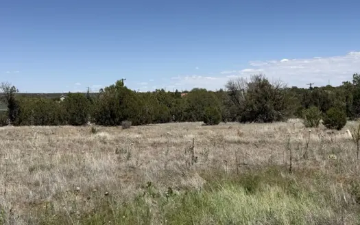 Commercial & Residential Zoning Plus Lake Privileges-Show Low AZ