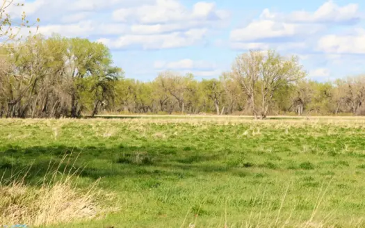 Cottonwood Bend Ranch | Milk River | Montana