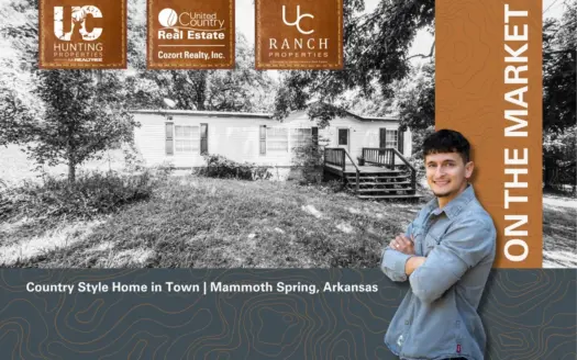 Country Style Home in Town | Mammoth Spring, Arkansas
