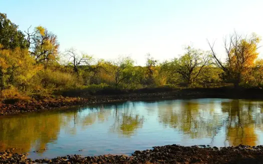 Excellent 38 Acres near Jim Ned River and Lake Brownwood TX