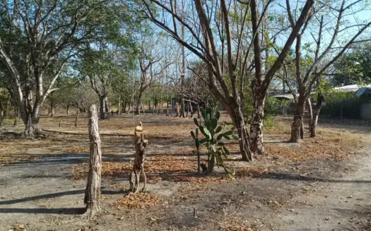 Expansive Land with Creek in Nueva Gorgona Near Coronado