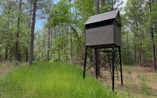 Hunting land with a Camp on Saline Lake Winn Parish LA